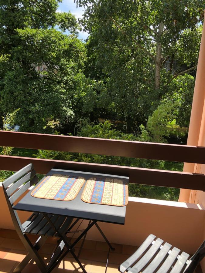 Appartement 2 Pieces Vue Sur La Riviere De L'Aven Et Le Bois D Amour بونت-آفين المظهر الخارجي الصورة