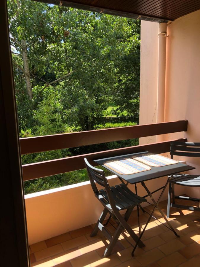 Appartement 2 Pieces Vue Sur La Riviere De L'Aven Et Le Bois D Amour بونت-آفين المظهر الخارجي الصورة
